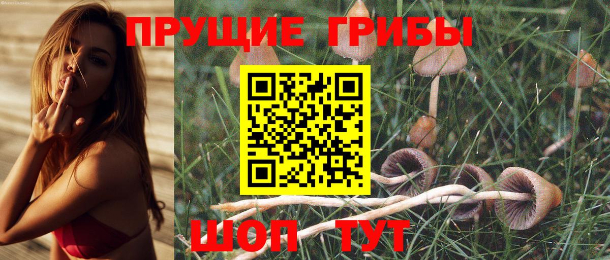Псилоцибиновые грибы мухоморы Северск