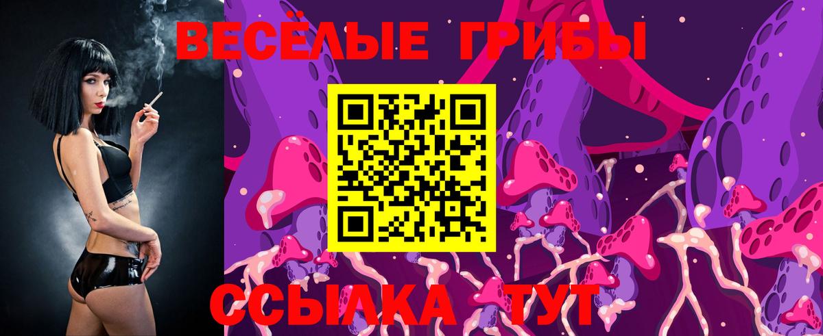 Северск  Галлюциногенные грибы Magic Shrooms  Вход с VPN 